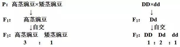 楂樹腑鐢熺墿閬椾紶鍥犲瓙鐨勫彂鐜扮煡璇嗙偣姹囨€? onerror=
