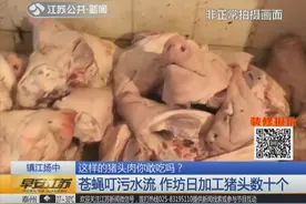 黑作坊每天加工数十个猪头肉 加工环境令人作呕 工人自己都不吃！视频封面