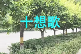 李赛萍一首贵州山歌《十想歌》伤感好听视频封面
