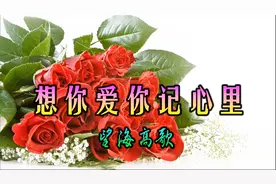 新歌！一首《想你爱你记心里》思念情缘，听醉了！