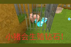 迷你世界：教你如何养殖”钻石猪“一只会下钻石的猪，你见过吗？
