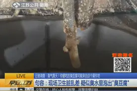 臭气熏天！你爱吃的臭豆腐可能来自这个黑作坊臭水里泡出的视频封面