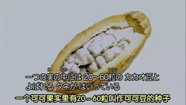 巧克力的制作过程,你知道吗