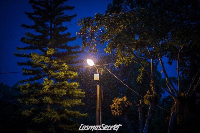 深邃的黑色隐藏着无限魅力，大众尚酷打造成超帅黑武士！