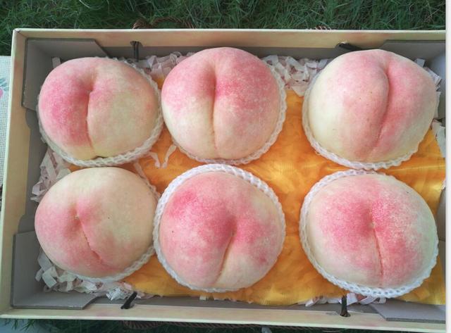 僵尸农场入侵攻略（线上游戏故事场景复原）