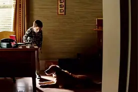 狗狗不慎吃掉硬币，主人想办法，让它拉出视频封面