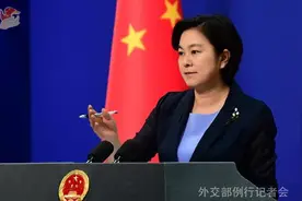 中国人自己害自己？泰方高官指责旅行社为事故负责 我外交部回应图片