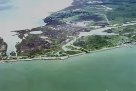 火烈鸟逃出动物园浪迹天涯13年：原谅我一生放纵不羁爱自由图片