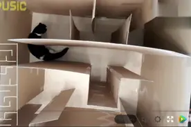 机智猫咪1分钟走完迷宫 网友：从猫的视角看有点吓人图片