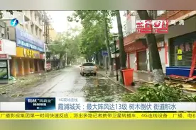 台风来袭，霞浦城关最大阵风达13级！树木倒伏，街道积水……