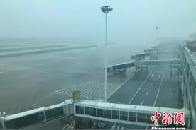 台风“玛莉亚”登陆福建连江 福州机场167个航班取消图片