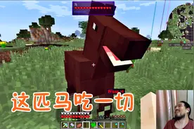 我的世界风暴大陆37 这匹无敌马，把我的斧头吃了，可以吃一切！