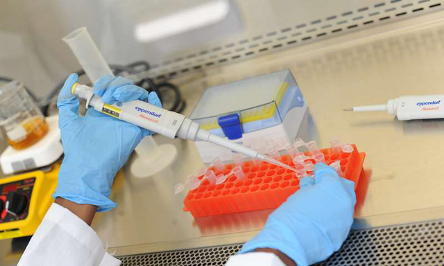 Medical Xpress：科学家发现非小细胞肺癌致命弱点