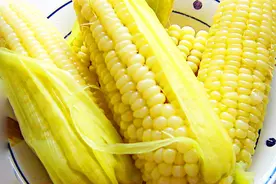 甜玉米和糯玉米有什么区别？原来一直都弄错了！视频封面