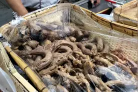 山东大爷做鸭下货5年，每天摆5大筐卖，绝无添加成品都没颜色视频封面