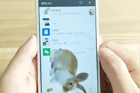 教你在手机养只宠物，不仅可以在微信界面来回跑而且还会叫视频封面