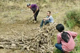农村未来新生儿没有土地怎么办，专家给出了这几个方案！视频封面