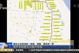 浦东各位注意啦！回家找对车！公交路线新辟、调整、更名各一条视频封面