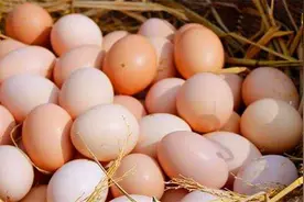 为什么鸡蛋碰水就容易坏？到底该怎么存储鸡蛋？看完涨知识了视频封面