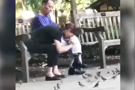 我寻思这小鸟没人要了呢……视频封面