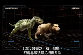 恐龙星球巨兽探秘，史前巨型狮子与矮暴龙，巨狮PK巨熊！视频封面