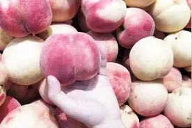 原来洗桃子这么简单，这样做桃毛自动脱落，别再用水冲了视频封面