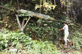 深山老人是如何引流山泉水养鱼的呢？你们见过么？视频封面