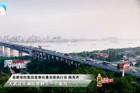 商界大咖谈投资湖北：这次机遇不容错过视频封面