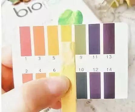 小红书去鸡皮肤身体乳