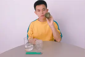 多肉折断了？别慌，2分钟学会“多肉重生术”，2个星期发新根！视频封面