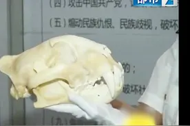江苏南京：安检查出包里有个虎头骨 旅客带违规品入境被查获视频封面