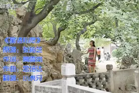 翻唱：经典回忆，一首催泪伤感的《星语心愿》，听到你想哭！视频封面