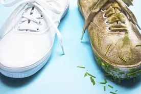 运动达人教你洗清运动鞋，洁白如新，一起看看吧！视频封面