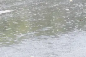 成都本轮最大降雨量 集中在崇州羊马视频封面