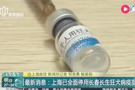 最新消息：上海已全面停用长春长生狂犬病疫苗 远离药品造假！视频封面