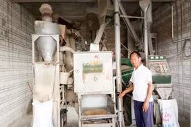 两包稻谷碾成一包米糠和半包大米，大米成率不高，稻谷种得不好吗视频封面