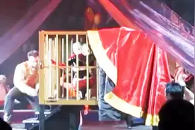 为什么美女走进笼子后变成老虎？这个魔术机关是这样设计的视频封面