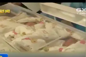 山西太原：罕见！孕妇产下同卵四胞胎