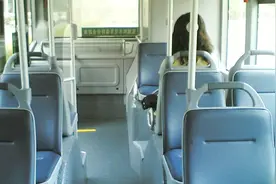 公交车座位这么多，到底哪个位置最危险？听听汽车厂商怎么说视频封面