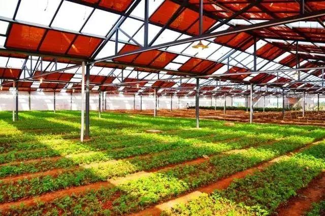 成功的共享农业需要什么条件?复制能力、规模效应(附10个案例)