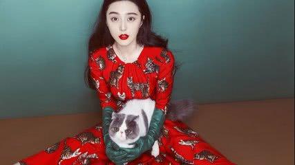 如何制作烟酰胺身体乳