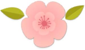 夏天背杀全靠它！头发再油我都要用温和的！