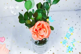 水晶土用热水泡开变成了一朵玫瑰花，摆在哪里都漂亮，一看就会视频封面