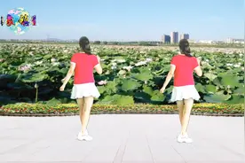 初级20步子舞《你不来我不老》动听的情歌，洒脱的动作后附分解视频封面