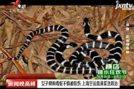 渭南：女子网购毒蛇不慎被咬伤 上海空运血清紧急救治视频封面