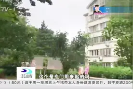 男子贴小广告被抓现行，理直气壮耍嘴皮：小区牛皮癣怎么除干净？视频封面