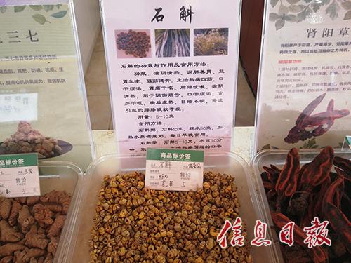 铁皮石斛一克多少钱 2026年铁皮石斛一克多少钱?