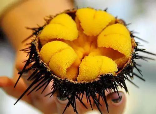 吃海胆为什么一定要放这个东西？还是广东人会吃！