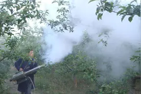 打药后下雨了怎么办？多雨天能不能打药？视频封面