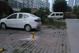 石家庄一小区停车位突然收费引风波图片